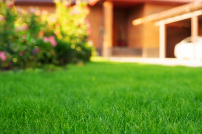 Regrade A Yard