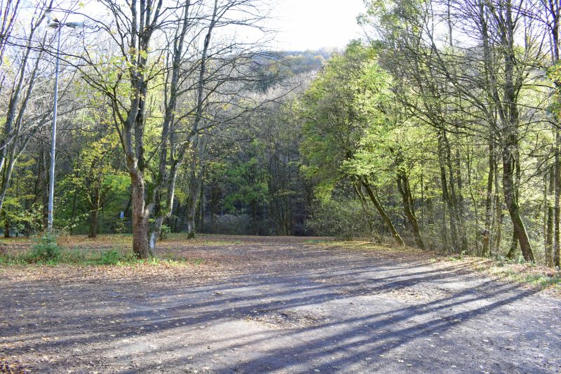 Cost of Landscape Grading — Cost of Landscape Grading