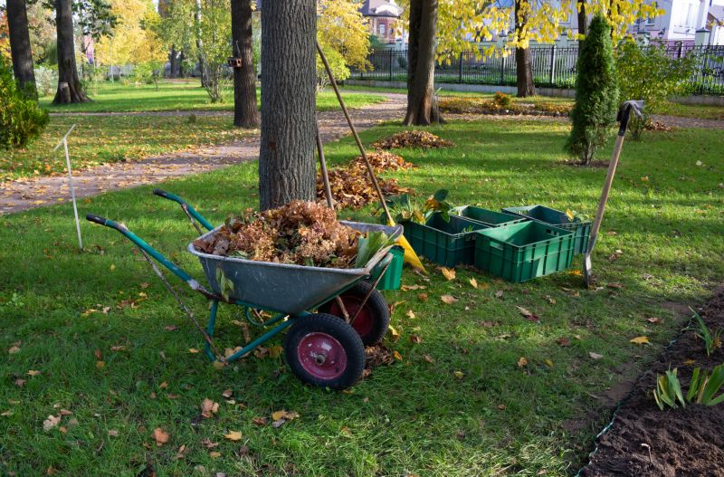 Land Clearing in Marietta, GA