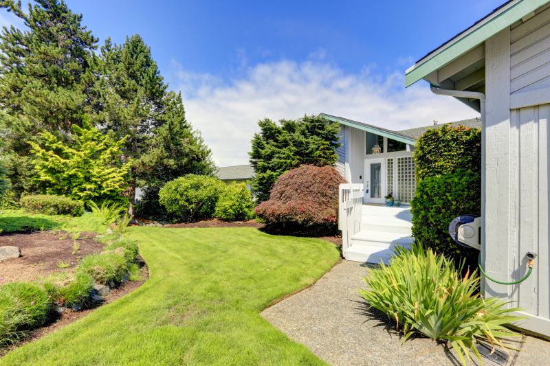 Yard Regrading Service